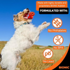 Bionic Urban Stick Toy for Dogs (Orange) Dogs-Toys Bionic