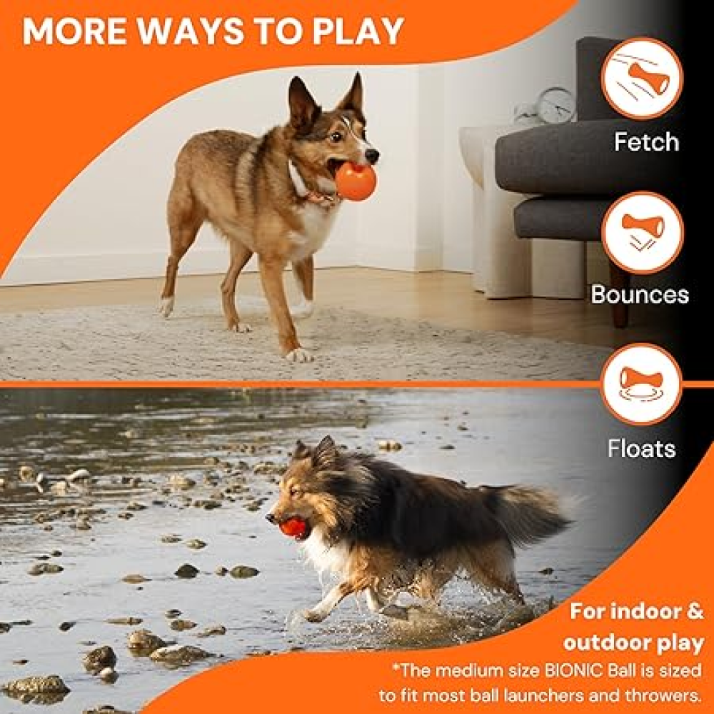 Bionic Ball Toy for Dogs (Orange) Dogs-Toys Bionic