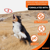 Bionic Toss N Tug Ring Toy for Dogs (Orange) Dogs-Toys Bionic