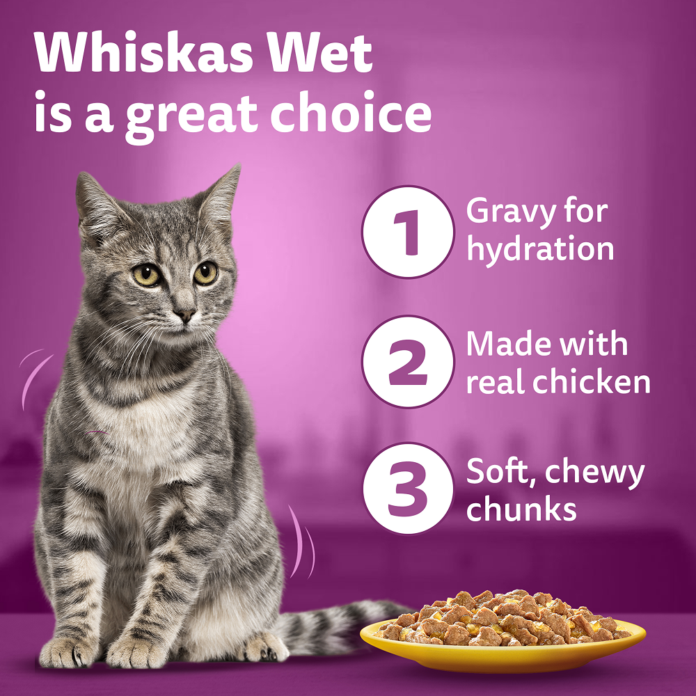 Whiskas Chicken in Gravy Adult Cat Wet Food Cats-Wet Food Whiskas