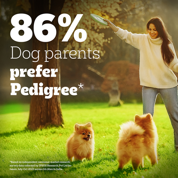 Pedigree PRO Expert Nutrition for Large Breed Puppy (3 to 18 Months) Dog Dry Food