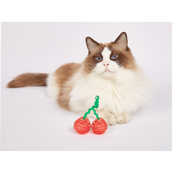 Fofos Fruity Netting Ball Toy for Cats