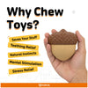 Fofos Harvest Acorn TPR Toy for Dogs Dogs-Toys FOFOS