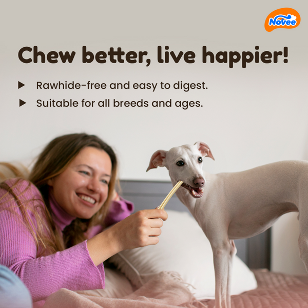 Novee Milky Chew Goat Milk Stick Treats for Dogs