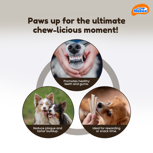 Novee Milky Chew Goat Milk Stick Treats for Dogs