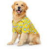 Pawgypets Evil Eye Casual Shirt for Dogs (Yellow) Dogs-Clothing & Accessories Pawgypets Dropship XXS