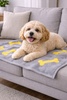 Talking Dog Club Bone Print Viscose Blanket for Dogs (Grey and Yellow Bone) Both-Bedding, Mats & Travel Supplies Talking Dog Club Dropship