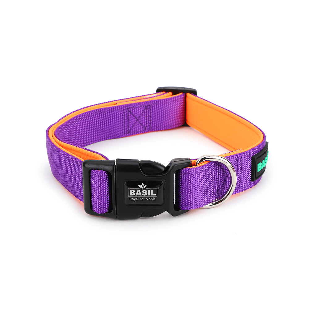 Basil Printed Adjustable Harness, Printed Leash and Nylon Padded Collar for Dogs Combo (Purple) - L