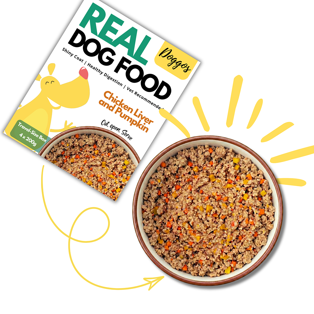 Doggos Chicken and Pumpkin Real Fresh Dog Wet Food (200g) Dogs-Fresh Food Doggos