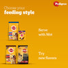 Pedigree Chicken and Vegetables Adult Dog Dry Food Dogs- Dry Food Pedigree