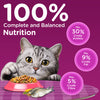 Whiskas Catla Fish Flavour Adult Cat Dry Food Cats- Dry food Whiskas