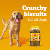 Pedigree Chicken with Milk Flavour (4+ Months) Biscrok Biscuits Jar Treats for Dogs Dog Treats + Others Pedigree