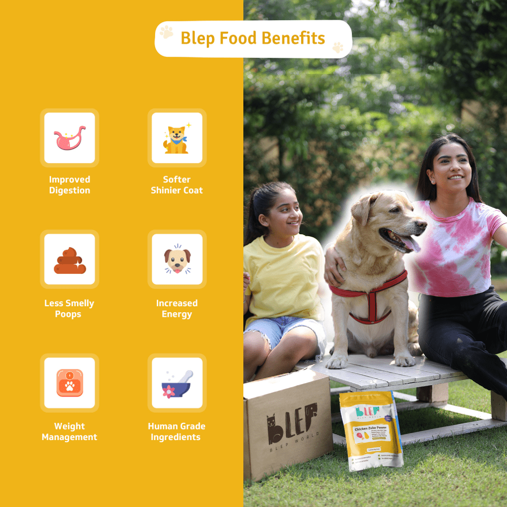 BLEP Pawer 5 Flavour Variety Pack Dog Wet Food