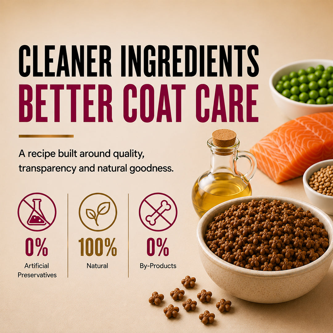 Signature Grain Zero Ocean Fish, Sardine and Mackerel Long Coat & Persian Adult Cat Dry Food Cats- Dry food Signature