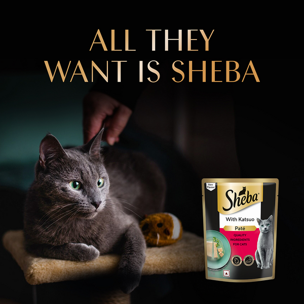 Sheba Katsuo Pate Rich Premium Adult Fine Cat Wet Food
