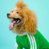 Pets Way Dive In Stripes Tshirt for Dogs (Forest) Dogs-Clothing & Accessories Pets Way Dropship