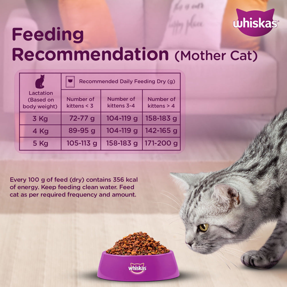 Whiskas Mackerel Flavour Kitten (2 to 12 months)Cat Dry Food