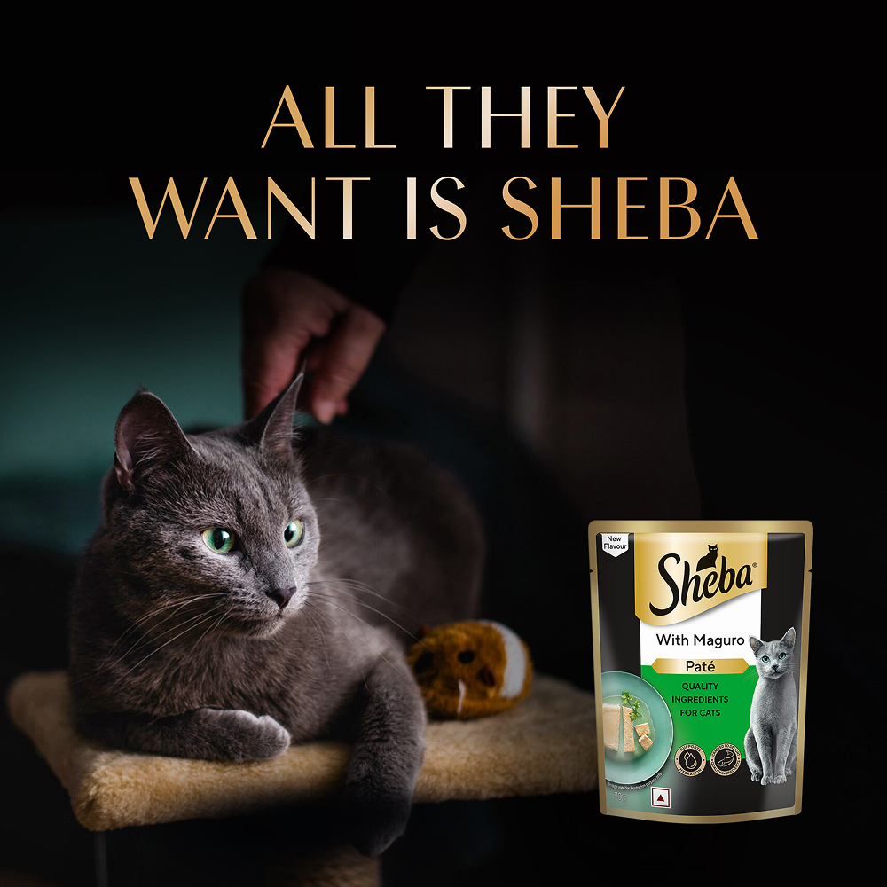 Sheba Maguro Pate Rich Premium Adult Fine Cat Wet Food Cats-Wet Food Sheba