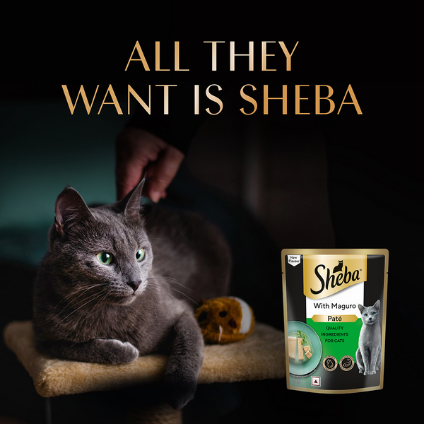 Sheba Maguro Pate Rich Premium Adult Fine Cat Wet Food