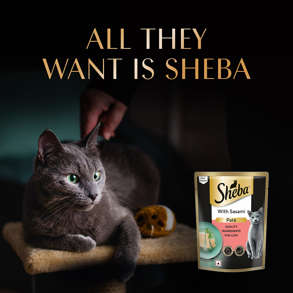 Sheba Sasami Pate Rich Premium Adult Fine Cat Wet Food Cats-Wet Food Sheba