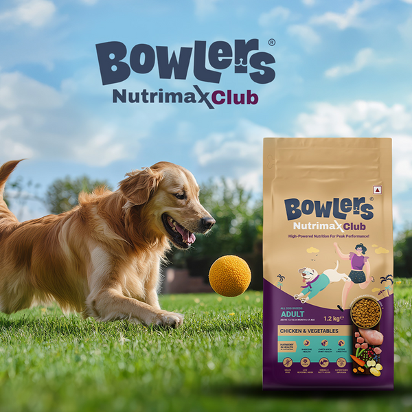 Bowlers Nutrimax Club Adult Dog Dry Food