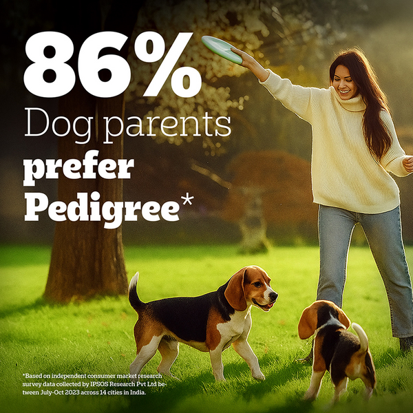 Pedigree PRO Expert Nutrition Adult Dog Dry Food for Small Breed