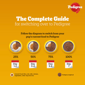 Pedigree Roasted Lamb Flavour Chunks in Gravy Adult Dog Wet Food