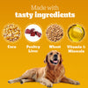 Pedigree Schmackos Stix Grilled Liver Flavour Adult Dog Treat Dog Treats + Others Pedigree