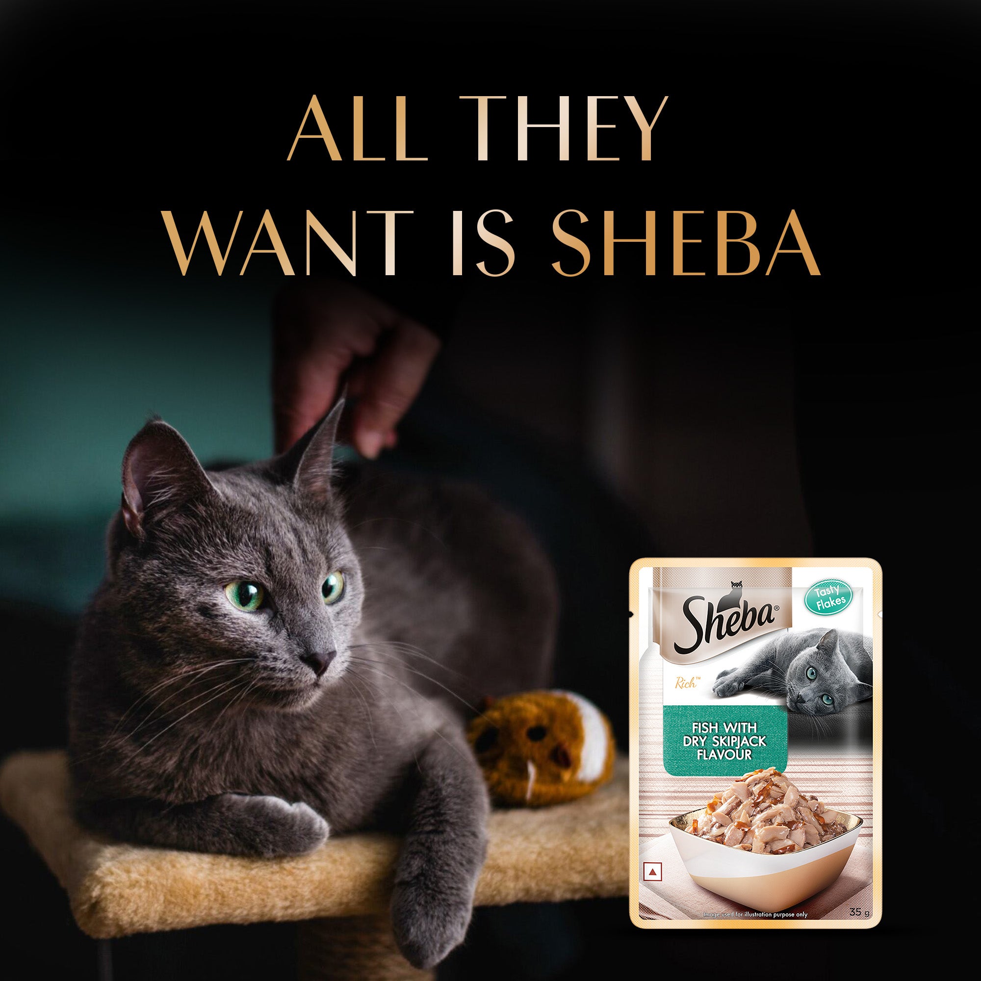 Sheba Fish with Dry Bonito or Skipjack Premium Cat Wet Food Cats-Wet Food Sheba