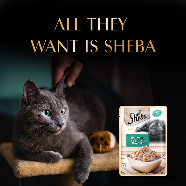 Sheba Fish with Dry Skipjack Premium Cat Wet Food