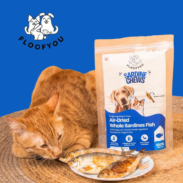 FloofYou Air Dried Whole Sardines Fish Dog & Cat Treats