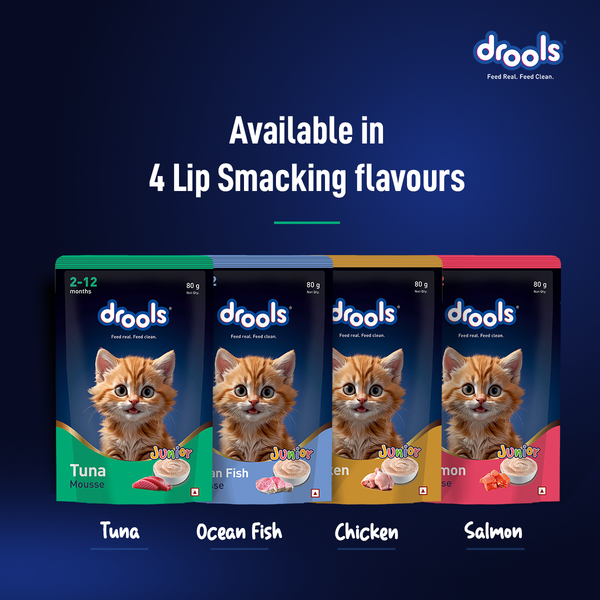 Drools Tuna Mousse Kitten Cat Wet Food