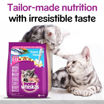 Whiskas Ocean Fish and Tuna in Jelly Kitten Dry and Wet Food Combo