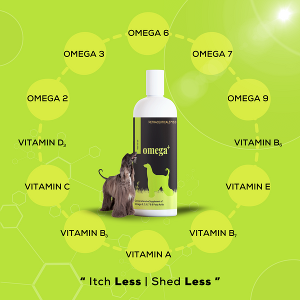 Venttura Omega 3 Plus Skin & Coat Syrup for Dogs