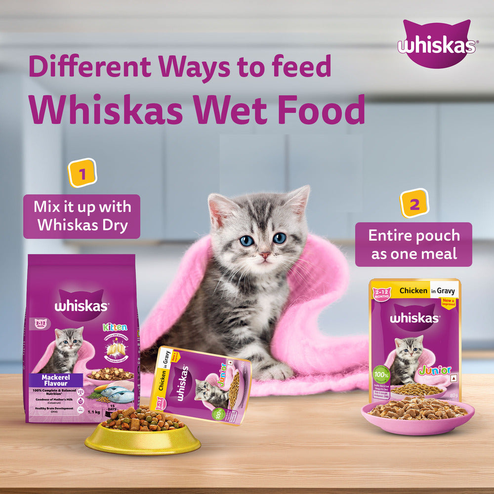 Whiskas Chicken in Gravy Meal Kitten Cat Wet Food