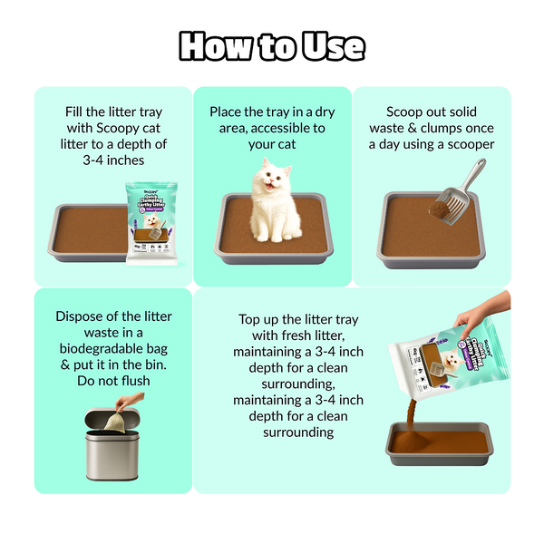 Scoopy Cat Litter | Lavender Scented | 100% Natural Indian Brown Sand (10kg)