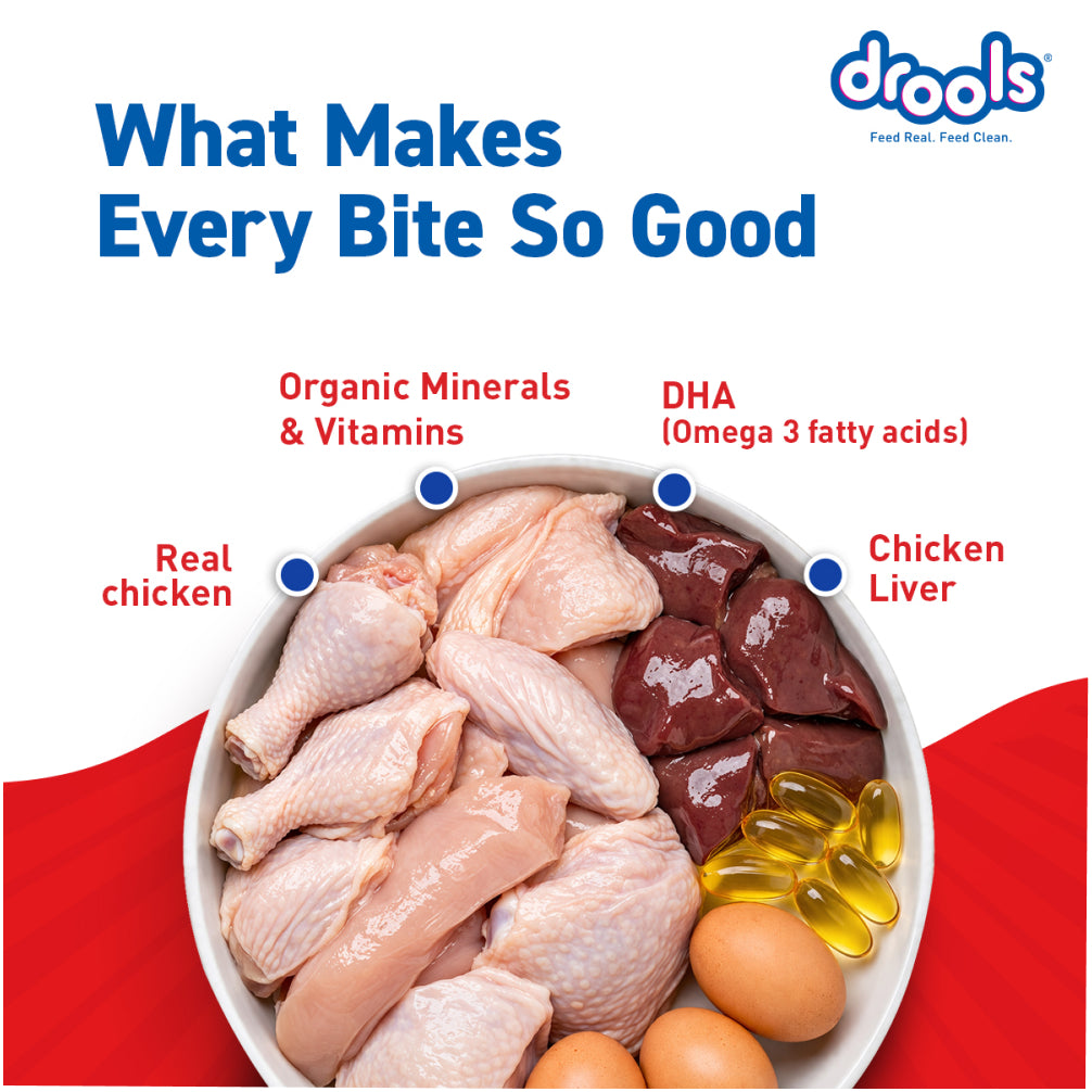 Drools Real Chicken & Chicken Liver Chunks in Gravy Puppy Dog Wet Food