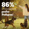 Pedigree PRO Expert Nutrition Active Adult (18 Months Onwards) Large Breed Dog Dry Food Dogs- Dry Food Pedigree PRO