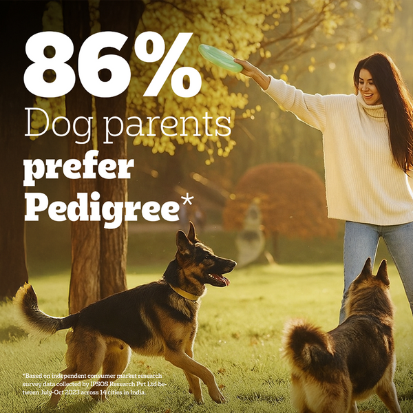 Pedigree PRO Expert Nutrition Lactating/Pregnant Mother & Puppy Starter(3 to 12 Weeks) Large Breed Dog Dry Food