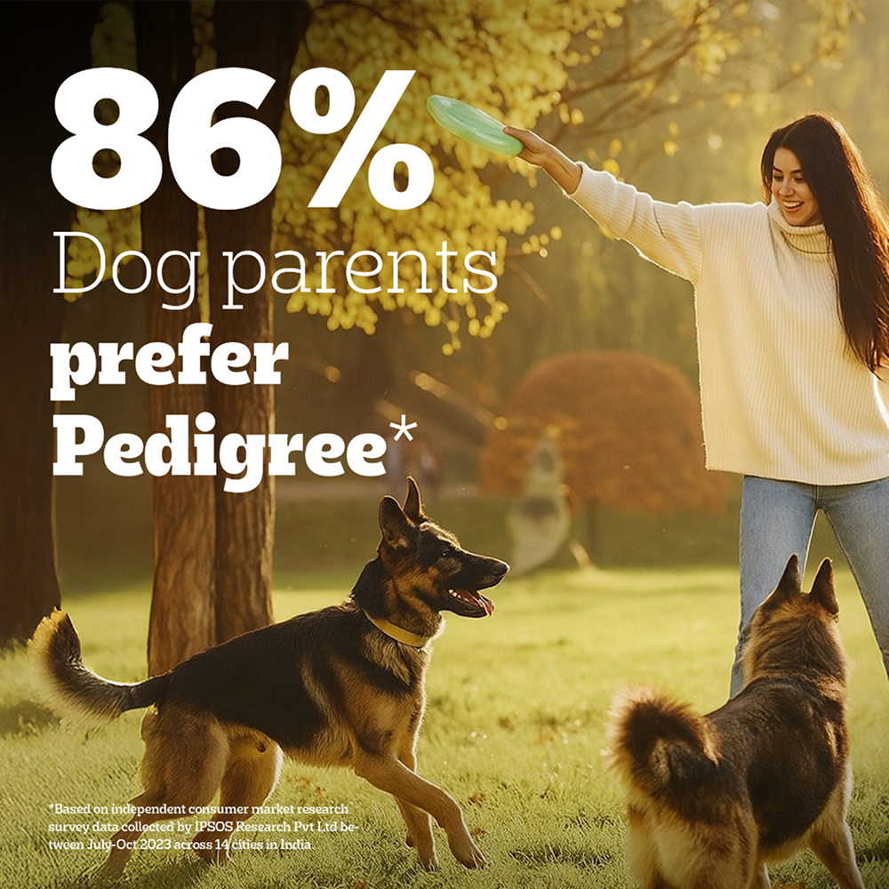 Pedigree PRO Expert Nutrition Lactating/Pregnant Mother & Puppy Starter(3 to 12 Weeks) Large Breed Dog Dry Food Dogs- Dry Food Pedigree PRO