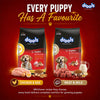 Drools Chicken and Egg Puppy Dog Dry Food Dogs- Dry Food Drools