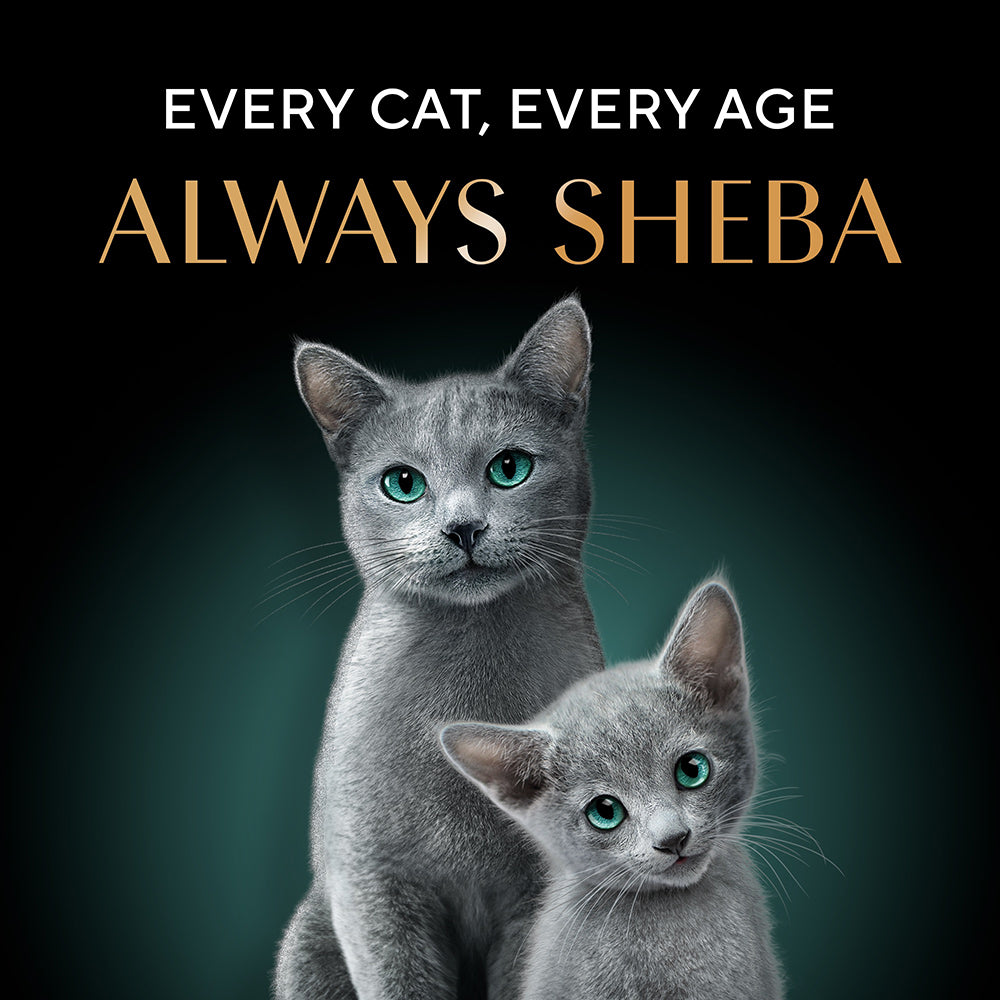 Sheba Skipjack & Salmon Fish Mix Cat Wet Food Cats-Wet Food Sheba
