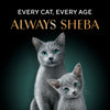 Sheba Skipjack & Salmon Fish Mix Cat Wet Food Cats-Wet Food Sheba