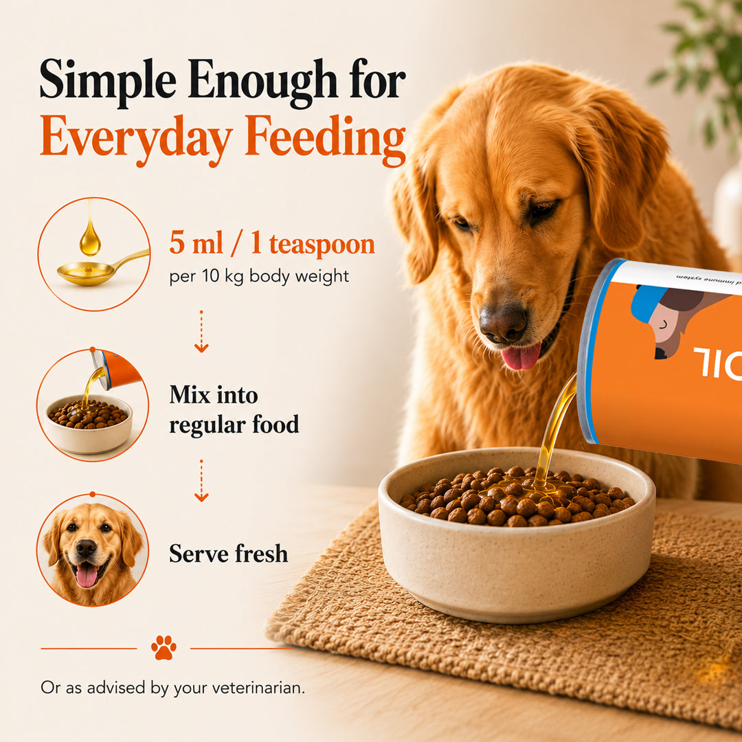Drools Absolute Salmon Oil Syrup Supplement for Dogs Dogs-Health & Wellness Drools