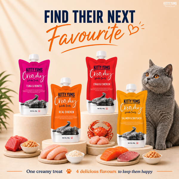 Kitty Yums Lickable Real Chicken Creamy Cat Treat