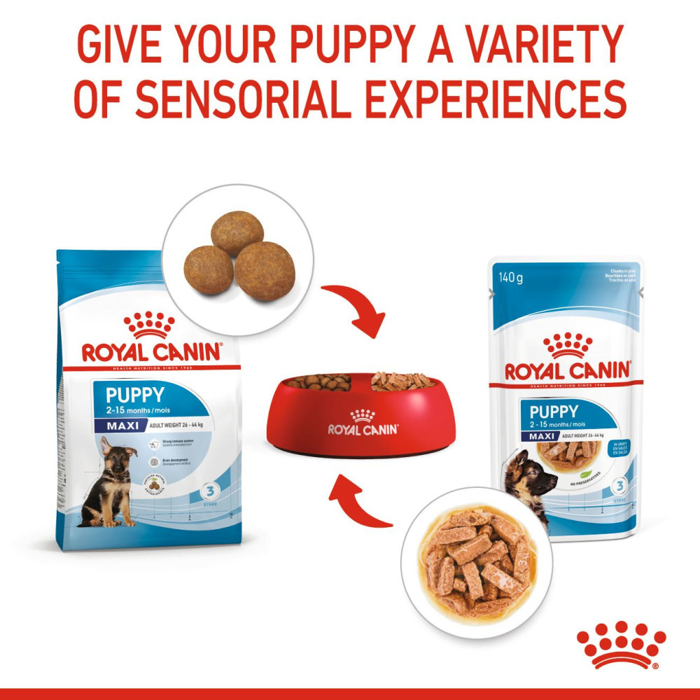 Henlo Baked Puppy Dry Food and Royal Canin Maxi Puppy Wet Food Combo