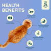 Smylo Kitten Chicken Tuna & Rosemary, Fresh & No-Preservative Wet Cat Food Cats-Wet Food Smylo