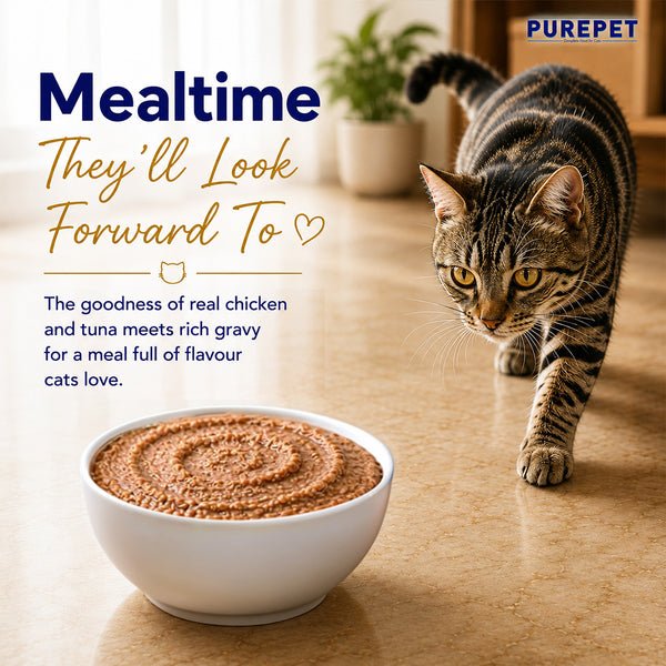 Purepet Real Tuna & Chicken Liver in Gravy Cat Wet Food