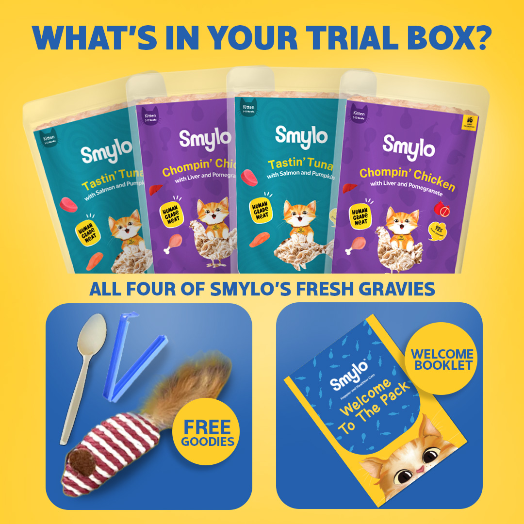 Smylo Kitten Trial Box, Tuna & Chicken, Fresh & No-Preservative Wet Cat Food Cats-Wet Food Smylo