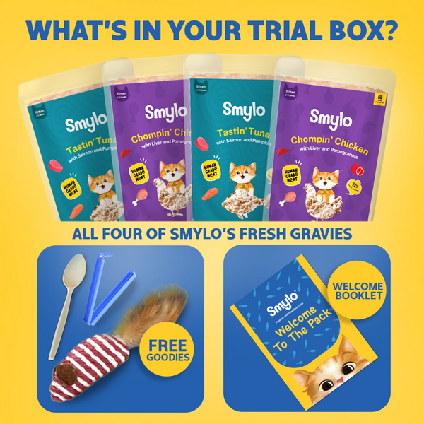 Smylo Kitten Trial Box, Tuna & Chicken, Fresh & No-Preservative Wet Cat Food